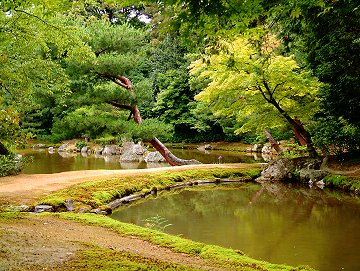 Garden at Golden Pavilion