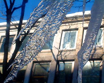 Icicles at Quincy Market