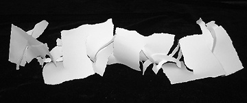 Paper project