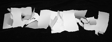 Paper project