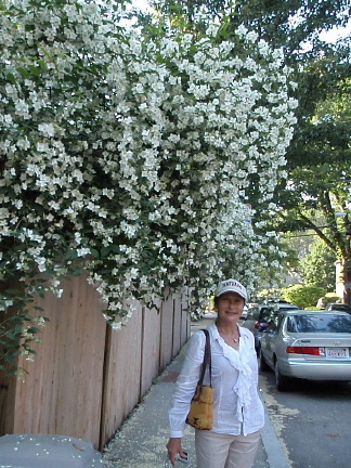Aunty Mary on Holden Street