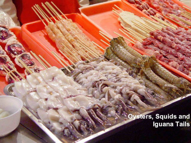Oysters, squids and iguana tails